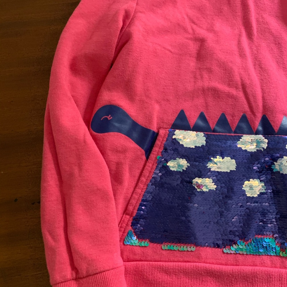 Dino sweatshirt